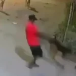¿Crueldad o supervivencia? El impactante video del hombre que usó a un perro de “ventilador” para defenderse de un ataque en plena calle