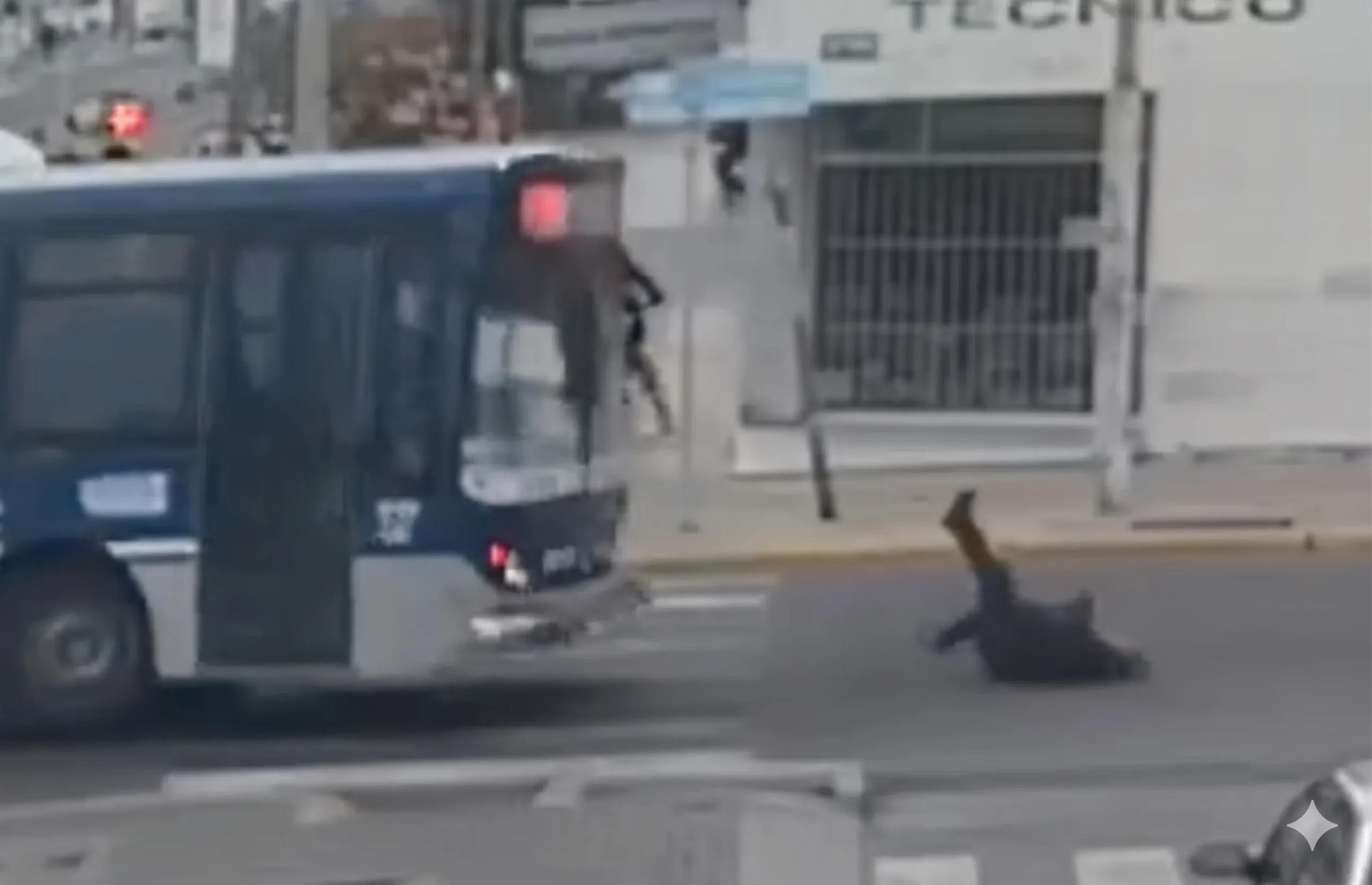 Un colectivo de la empresa Nueva Generación atropelló a un abuelo en la senda peatonal