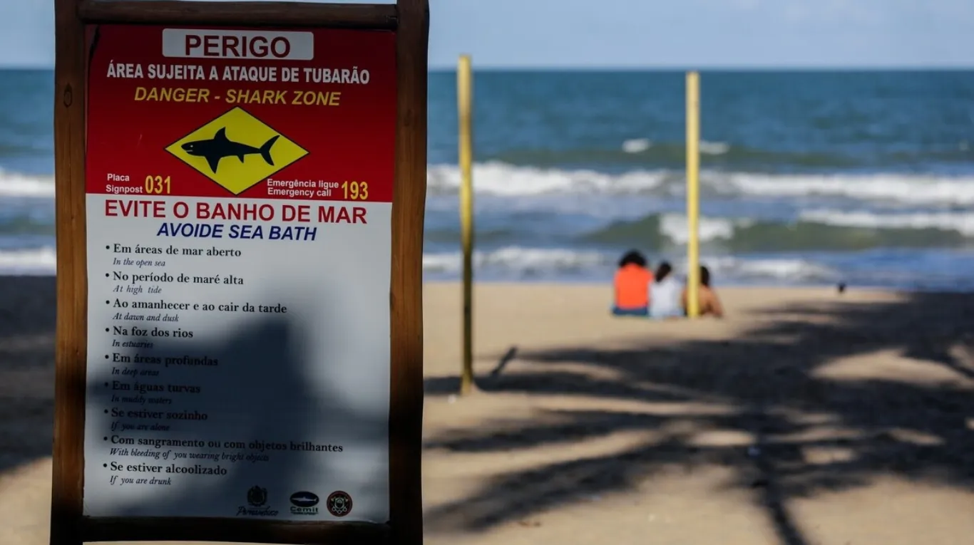 Terror en las playas de Brasil: Una joven de 19 años y un nene de 11 perdieron sus piernas tras dos feroces ataques de tiburón